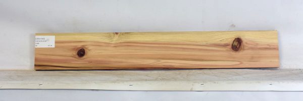 CEDJ1342_1