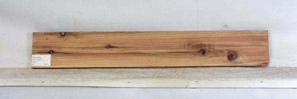 CEDJ1344_1