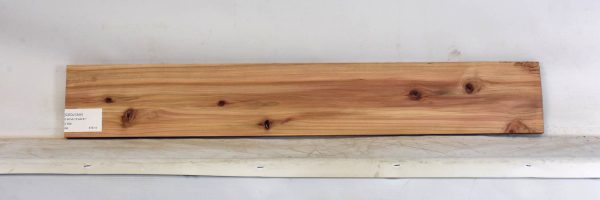 CEDJ1344_2