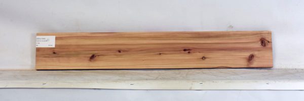 CEDJ1345_1