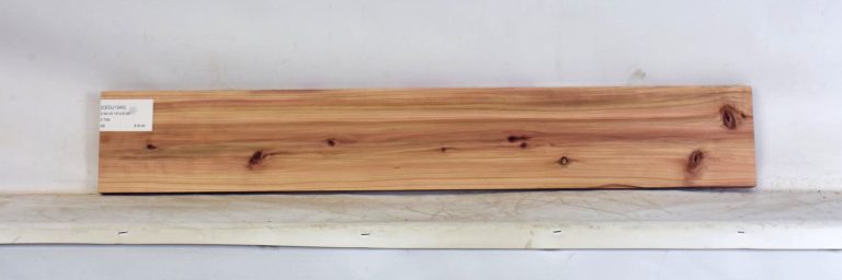 CEDJ1345_1