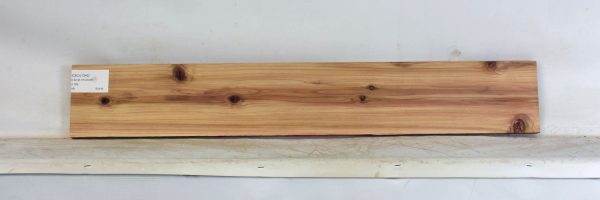 CEDJ1345_2