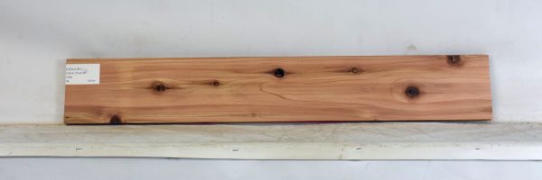 CEDJ1351_1