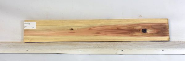 CEDJ1353_2