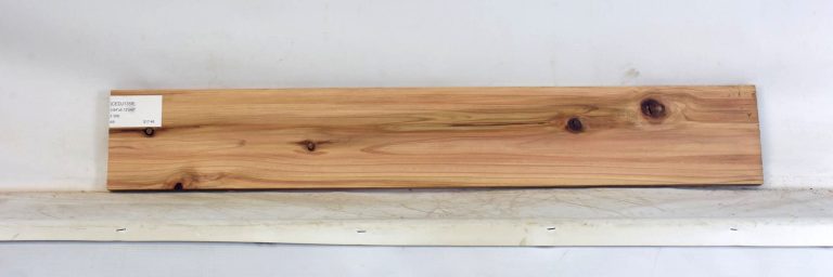 CEDJ1358_1