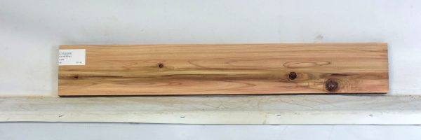 CEDJ1358_2
