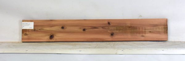 CEDJ1359_1