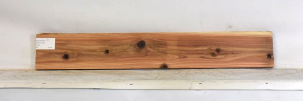 CEDJ1361_1