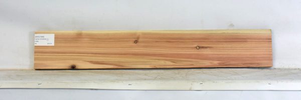 CEDJ1365_2