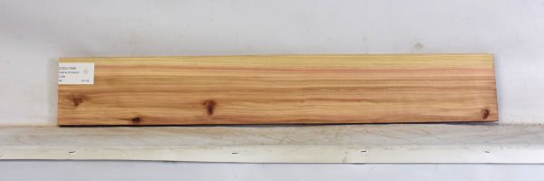 CEDJ1368_1