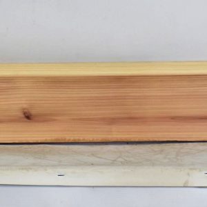 CEDJ1371_1