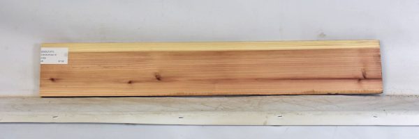 CEDJ1371_1