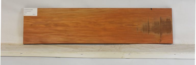 CHAKVIG1228_1