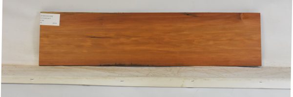 CHAKVIG1228_2