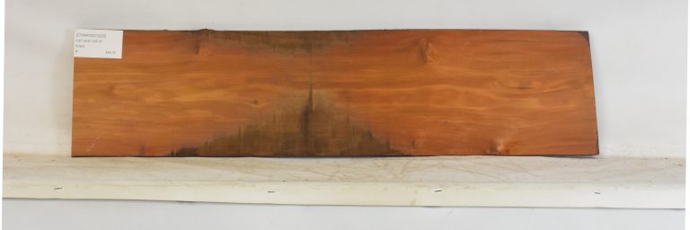 CHAKVIG1229_1