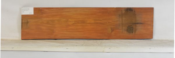 CHAKVIG1229_2