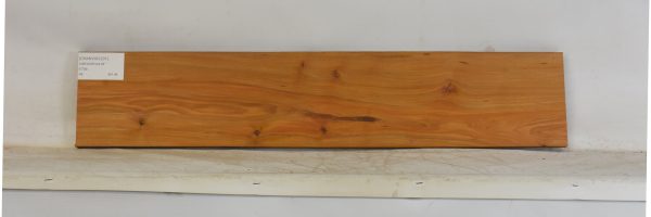 CHAKVIG1231_1