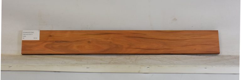CHAKVIG1234_1