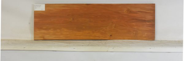 CHAKVIG1237_2