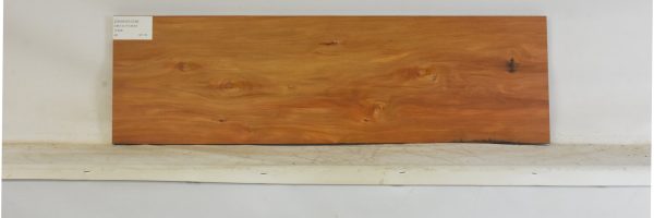 CHAKVIG1238_1