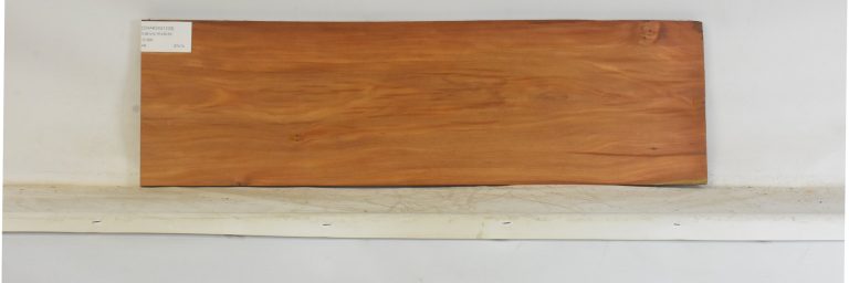 CHAKVIG1239_1