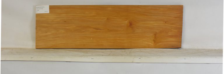 CHAKVIG1241_1
