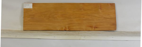 CHAKVIG1242_1