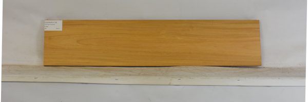 OSORARG1135_2