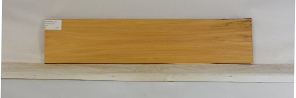 OSORARG1137_2