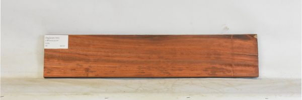 PADAUK1765_1