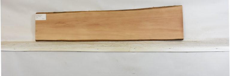 PEARSW1337_1