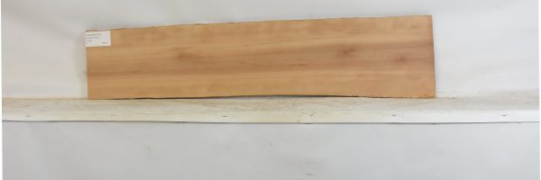 PEARSW1337_2