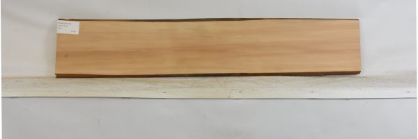 PEARSW1338_1