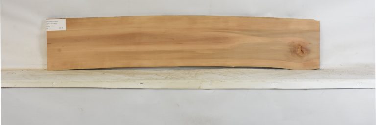 PEARSW1339_1