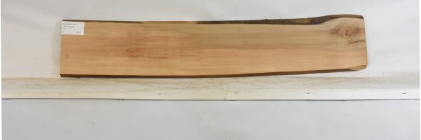 PEARSW1339_2