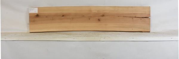 PEARSW1340_2