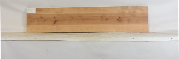 PEARSW1341_1