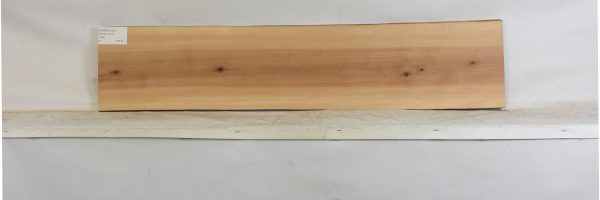 PEARSW1341_2