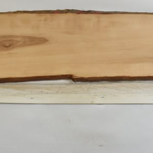 PEARSW1342_1