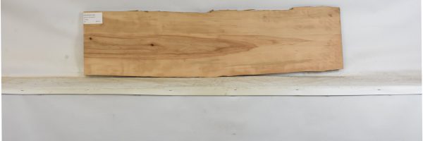 PEARSW1342_2