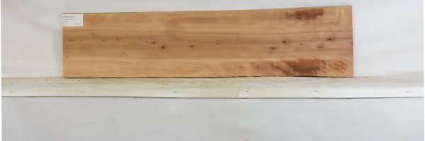 PEARSW1343_1