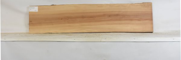 PEARSW1343_2