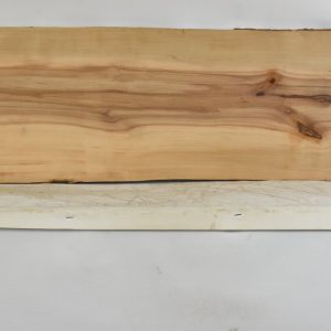 PEARSW1344_1