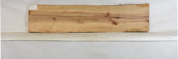 PEARSW1344_1