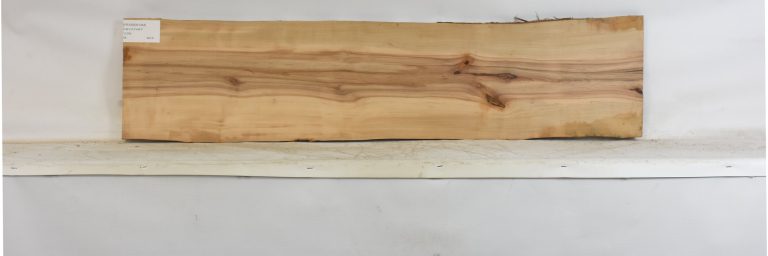 PEARSW1344_1