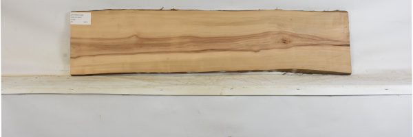 PEARSW1344_2