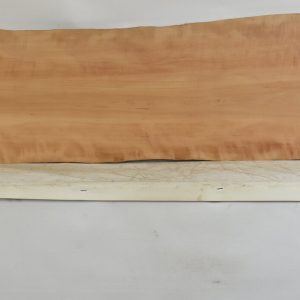 PEARSW1346_1