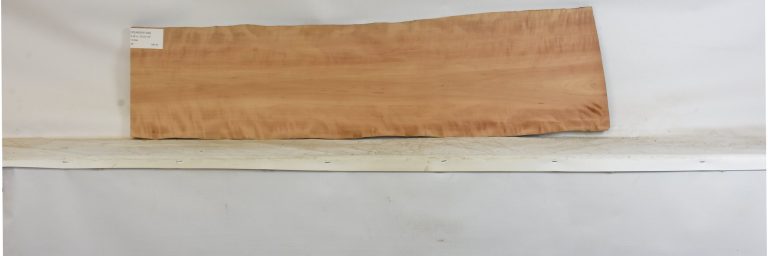PEARSW1346_1