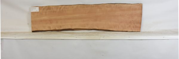 PEARSW1346_2