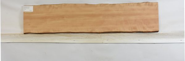 PEARSW1347_1
